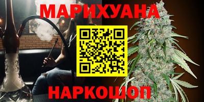 PSILOCYBIN Кунгур